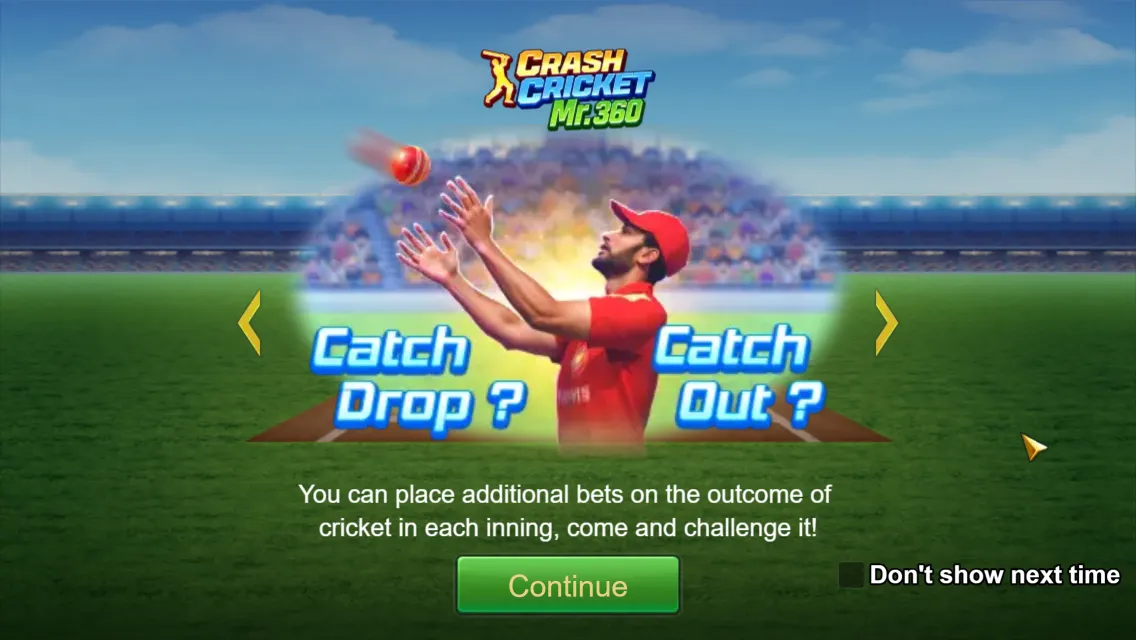 Crash Cricket Legend game interface screenshot 2