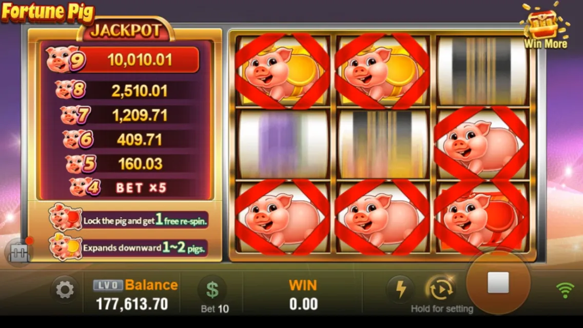 Fortune Pig game interface screenshot 5