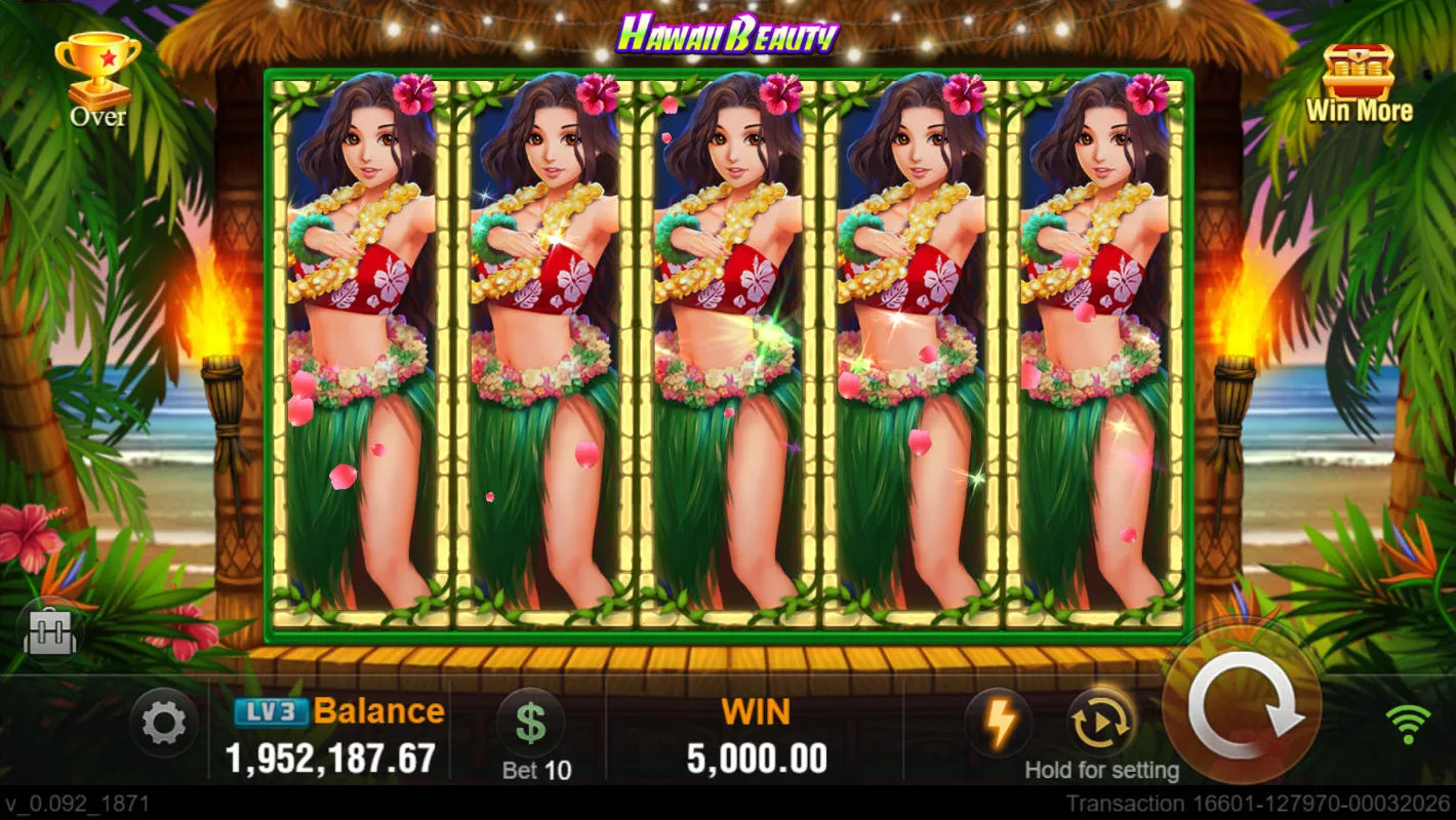 Hawaii Beauty game interface screenshot 5